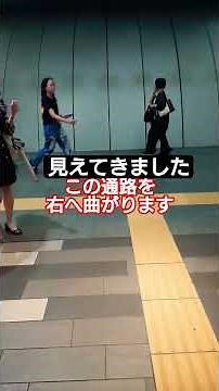 (渋谷移動案内)渋谷駅から渋谷ストリームエクセルホテル東急までの道案内 Directions from Shibuya Station to Shibuya Stream Hotel