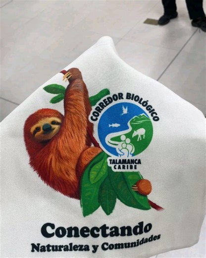 The Sloth Conservation Foundation on Reels | Facebook