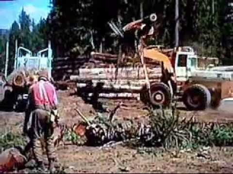 Old Logging & Trucking from late 80's