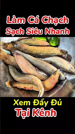 🔥 Quick and Easy Tips for Cleaning Mudfish and Catfish #shorts #shortvideo #usefultips #kitchentips