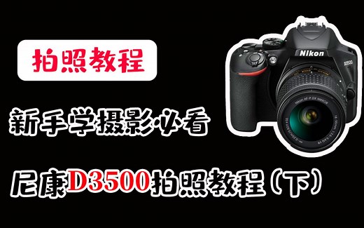 【蚂蚁摄影】尼康D3500详细拍照教程，手把手教你拍照（下）