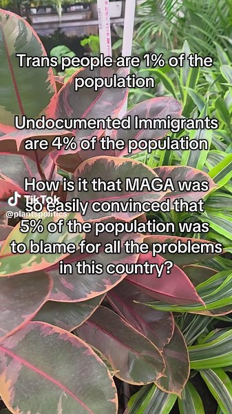 Understanding Trans Rights and Immigration Issues in 2025