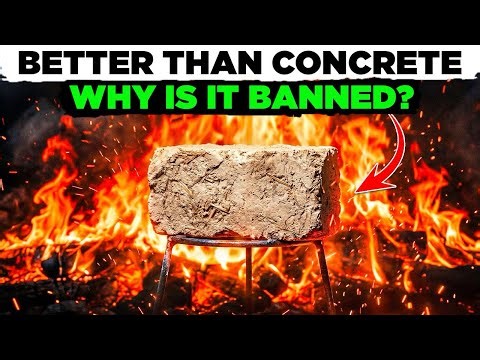 The Indestructible Wood Industry Tried to Kill — The Forgotten Power of Osage Orange