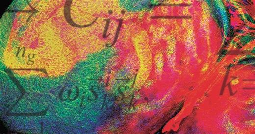 Applying Math to Answer Life's Fundamental Questions