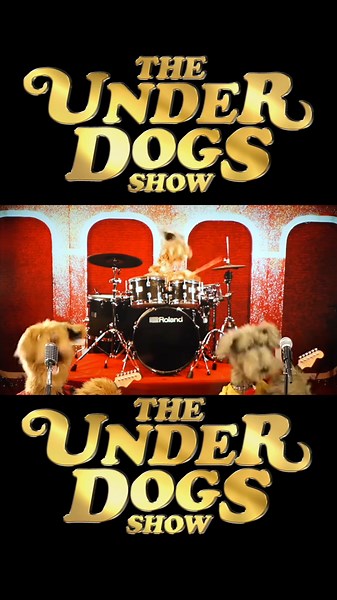 Singing Dog Puppet Show: Talented Dogs Perform