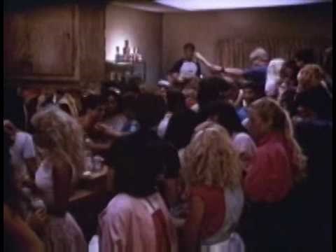 The Wild Life (1984)