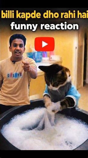 Billi Kapde Dho Rahi Hai 😂 | Funny Cat Reaction 🐱🤣 #funny #remix #beasthubindia #explore #shorts