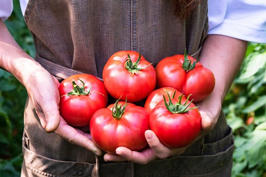 The Truth About Tomatoes and Inflammation, According to Experts