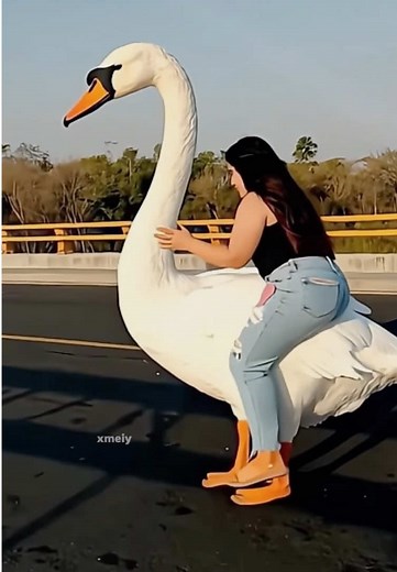 Create Epic Flying Goose Photos with AI Tutorial