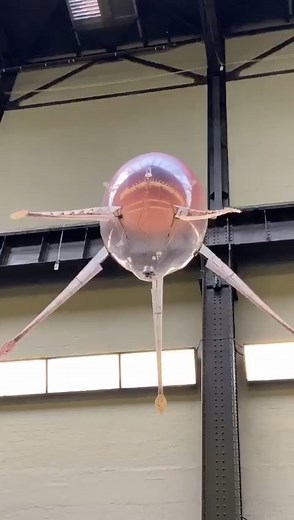 Each following a unique flight path, Anicka Yi’s 'Aerobes' hover freely around Tate Modern in the artist's Hyundai Commission: In Love With The World. 🦑 Inspired by organic formations found in the environment, such as fleshy mushrooms and complex ocean life forms, Yi breaks down the distinctions between nature and technology, examining whether machines could one day exist independently from us. Click to see other artists using technology within their work 🤖: https://bit.ly/3koIhSX | Tate