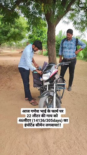 501K views · 5.2K reactions | #cow #breeding #banaskantha #irafeed #dairyfarming | IRA FEED | Facebook