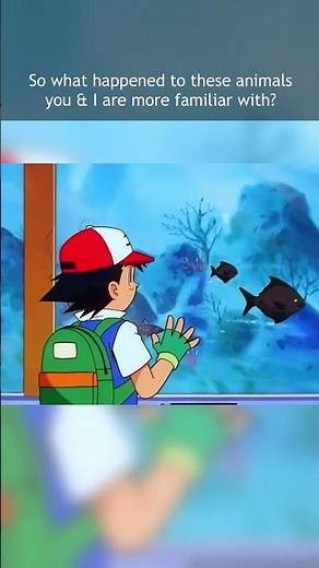 What happened to Animals in Pokémon? - Pokémon Facts #pokemon #pokemonfacts #pokemonshorts