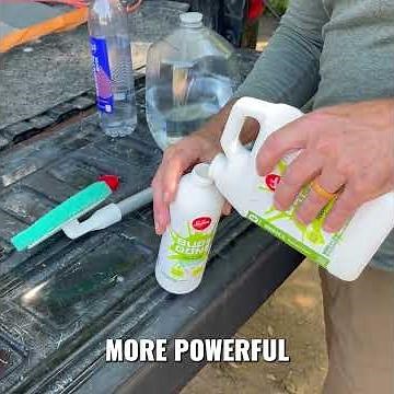How to clean windshield bugs 🪰🦗🦟 - fast and easy!