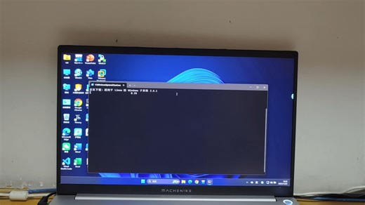 WIN11 Windows下的linux子系统部署方法