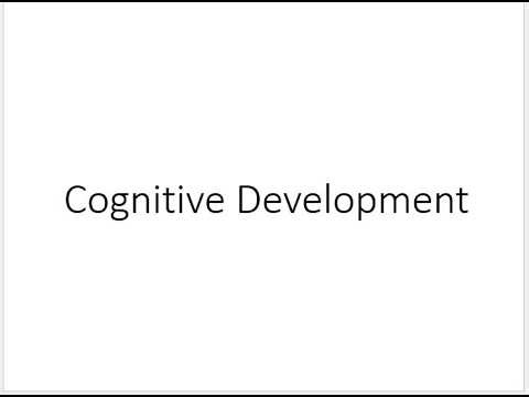 Cognitive Development
