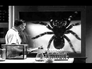 Special FX in horror: The Arachnophobia Test