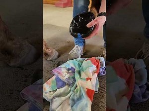 Hoof Wrap Process for Abscess Management