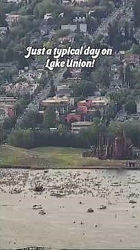 Summer in Seattle