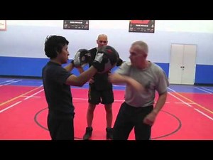 Alex Kostic Sistema Homoluden Seminar Pad Fist Flow