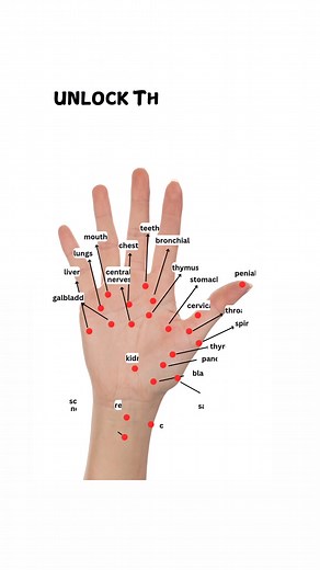 Your hands hold the secret to natural healing! Reflexology believes that every part of your hand connects to a specific organ or system in the body. By gently pressing these points, you can help relieve pain, improve blood circulation, reduce stress, and boost overall well-being. A few minutes of daily hand reflex massage can bring balance, relaxation, and energy to your entire body — naturally and effectively! #️⃣ Hashtags: #HandReflexology #NaturalHealing #HolisticHealth #WellnessJourney #Mind