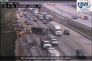 10 Cows Killed When Truck Overturns On I-75 (UPDATED)