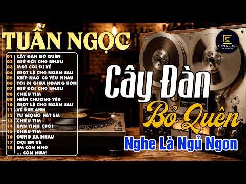 Cây Đàn Bỏ Quên - Tuấn Ngọc | Tình Ca Phòng Trà Xưa Hay Nhất 2026 Càng Nghe Càng Thấm