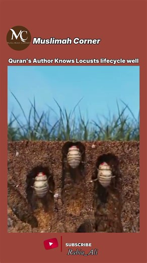 Profound example of locust in Quran#explore #duet