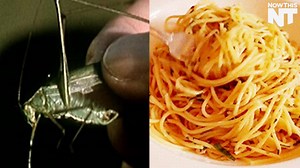 474K views · 3.8K reactions | This startup makes pasta and bread out of dead bugs | NowThis | Facebook