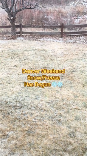 A few hours ahead of schedule. Our weekend is going to be freezing and snowing. #cowx #denver #RealBoringHousewife #denvercontentcreator #ltkrealboringhousewife