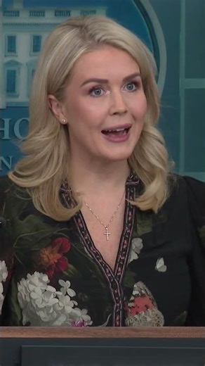 Leavitt says Trump "aware" of Dick Cheney's death