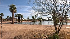 footage of a gorgeous landscape at Papago Park with a lake, lush green palm trees and rocks in Phoenix Arizona USA