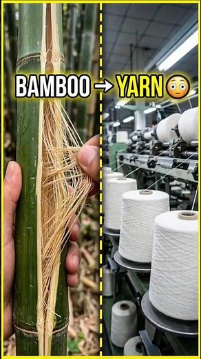 How Bamboo Trees Turn Into Yarn 😳