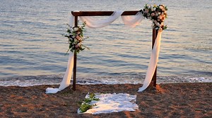 Wedding, Bride, Groom. Free Stock Video