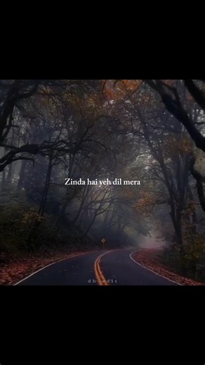 Zinda hai ye dil mera - Lag Ja Gale | Aesthetic Lyrics Status |#AestheticShorts #LyricsShorts#Shorts