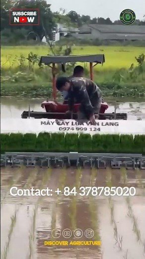 12 row Rice planting tractor attachment