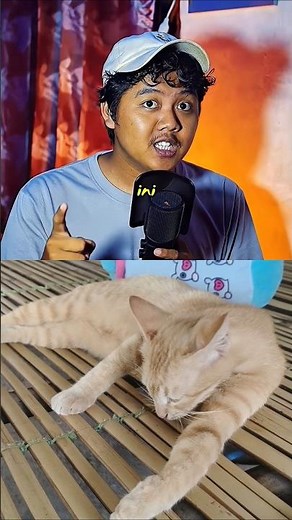 Suara kucing ini serem🐱 #kucing #shorts