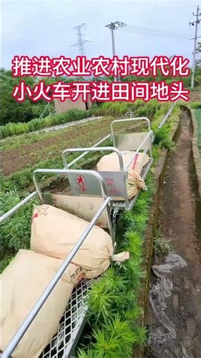 Electric Mountain Monorail Transport System | Heavy-Duty Orchard & Farm Cargo Cart