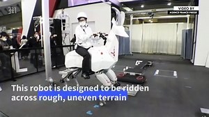 Japanese goat robot helps ageing society