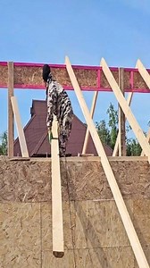 Amazing wooden roof main rafter framework connection assembly skill tips | Structure build tips