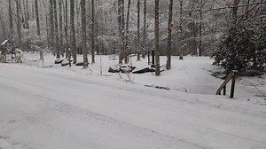 95K views · 1.5K reactions | Indian Creek Campground on Reels | Facebook