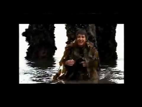 Even Stevens - Surf's Up