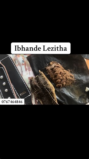 Ibhande Lezitha - SAMA28 Highlights