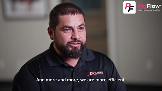 🐖 Want to manage your swine farm more efficiently and effectively? PigFlow is the answer! 🚀 Hear from Zenaido Loyola on how PigFlow has improved his farm's operations and team management. With real-time data on task completion, he can easily manage and guide his team in their tasks, leading to improved efficiency. 📈 PigFlow has made such a significant impact on his team that they can't imagine working without it. 🐽 Join the revolution in swine farming operations with PigFlow! Visit our booth