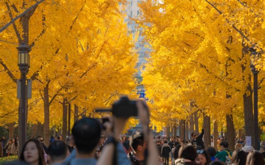 【摄影日记】北平之秋 索尼a7c 适马16-28