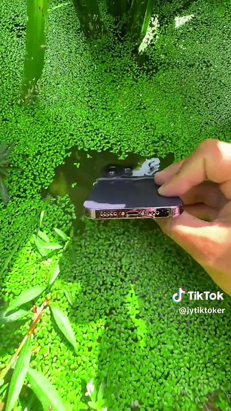 Incredible Artistic Masterpiece Video | JYTikToker