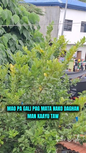 Unsay naa? #viralpost #fbreelsvideo | Yllor Kyle Vlogs