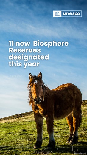 This year, 11 new #BiosphereReserves were designated, adding to a growing network of sites that unite people and nature for sustainable solutions. From rural communities to urban landscapes, these reserves serve as living laboratories for innovative approaches to conservation and development. By integrating cultural heritage, biodiversity protection, and sustainable livelihoods, they show how we can create a harmonious future with nature while improving local well-being. 🌱 A major step forward 