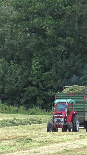 Top Things to Do in Cork, Ireland