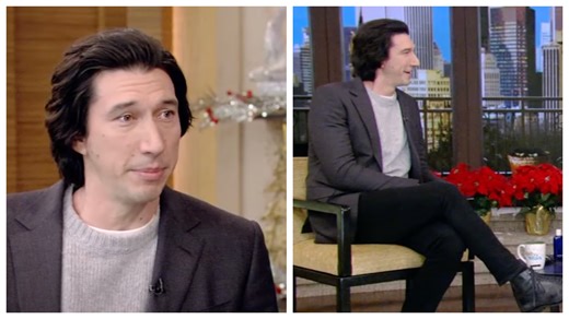 Adam Driver Opens Up About His New Baby Girl And Fatherhood: 'She's Eight Months'