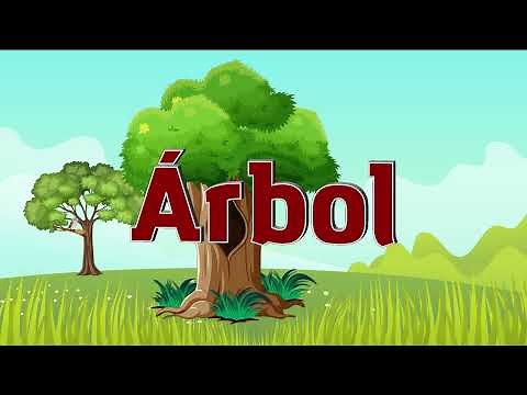 Árboles para niños | Aprenda las partes de un árbol para niños | Árbol y sus Partes para Niños